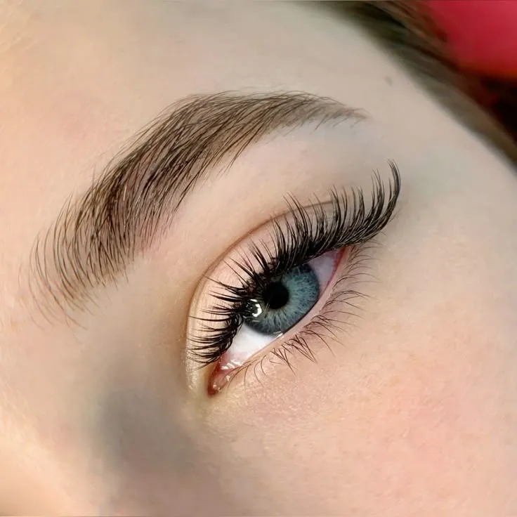 Hybrid Lashes